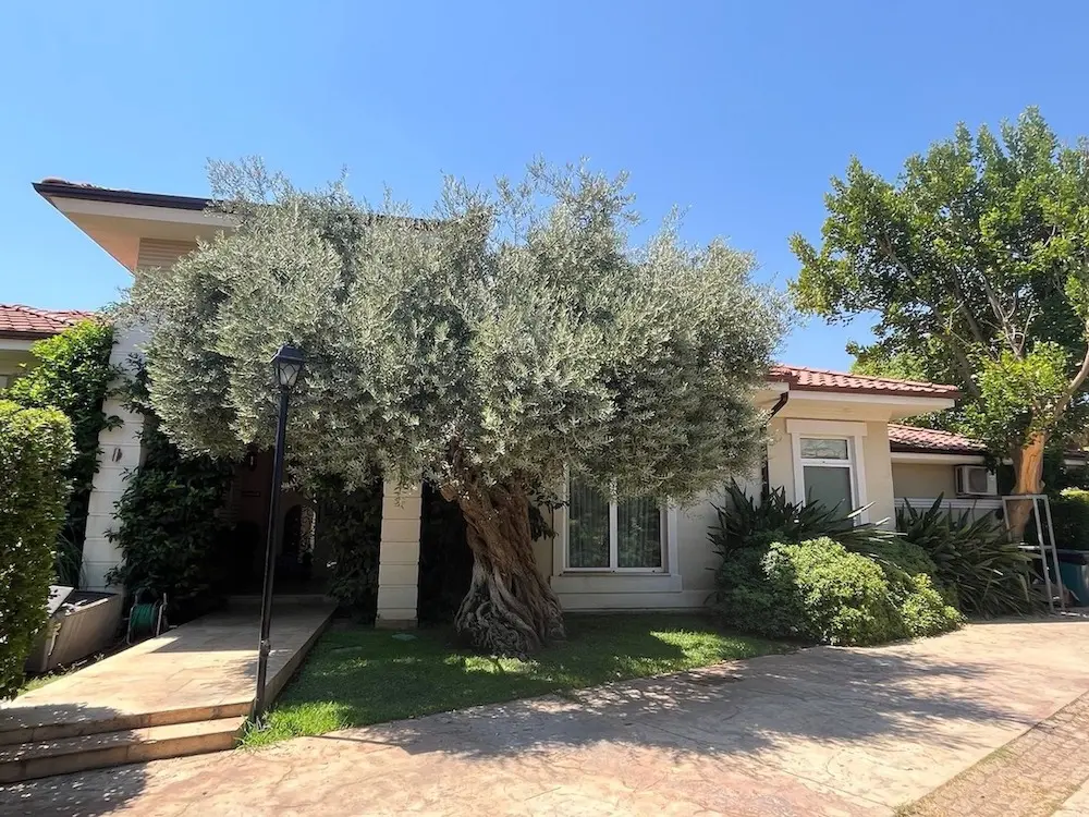 House in Dosemealti